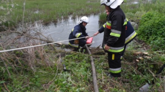 Strażacy sprawdzali się na wypadek pożaru lasu