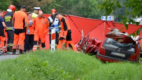 Śmiertelny wypadek na DK nr 17