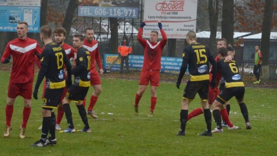 Zwycięstwo Wilgi na pożegnanie z kibicami