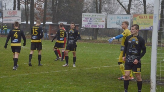 Zwycięstwo Wilgi na pożegnanie z kibicami