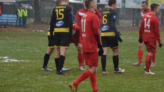 Zwycięstwo Wilgi na pożegnanie z kibicami