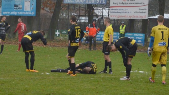 Zwycięstwo Wilgi na pożegnanie z kibicami