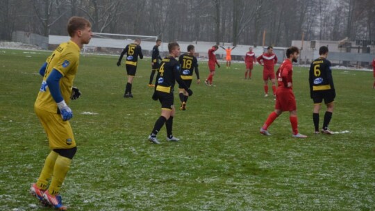 Zwycięstwo Wilgi na pożegnanie z kibicami