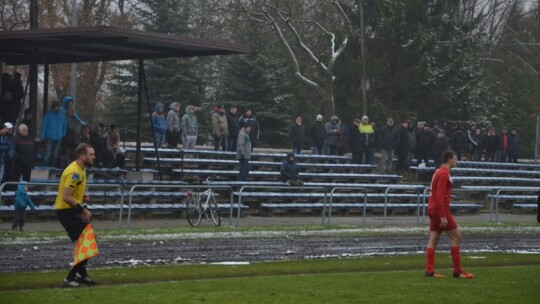 Zwycięstwo Wilgi na pożegnanie z kibicami