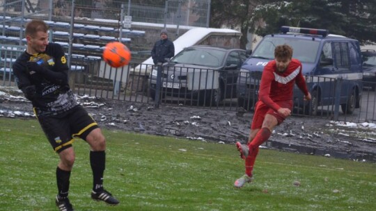 Zwycięstwo Wilgi na pożegnanie z kibicami