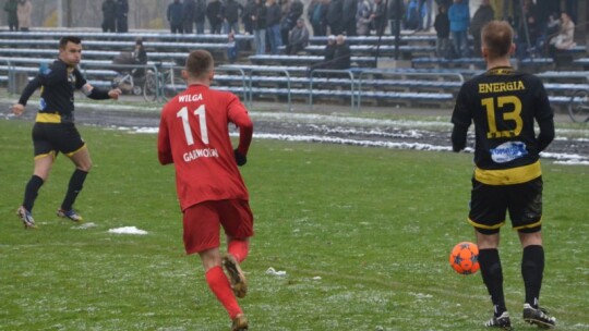 Zwycięstwo Wilgi na pożegnanie z kibicami