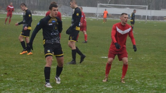 Zwycięstwo Wilgi na pożegnanie z kibicami