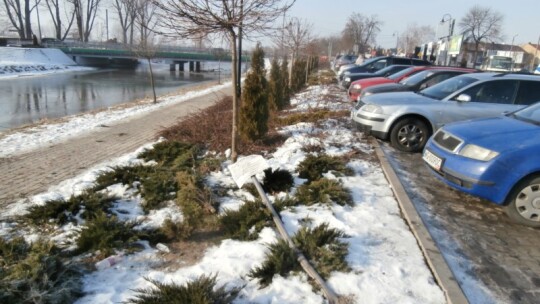 Z głupoty? Z nudów? Wandale ponownie wyszli w miasto