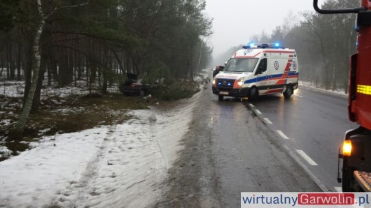 Wyleciał z nadwiślanki i ściął drzewo