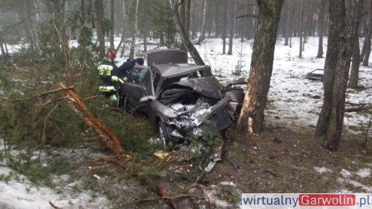 Wyleciał z nadwiślanki i ściął drzewo