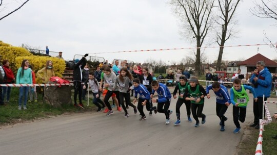 VI biegowe Grand Prix Ziemi Garwolińskiej wystartowało