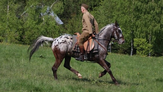 Święto strzelców z Garwolina