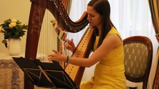 Dzień dziecka w królestwie harfy Dzień dziecka w królestwie harfy