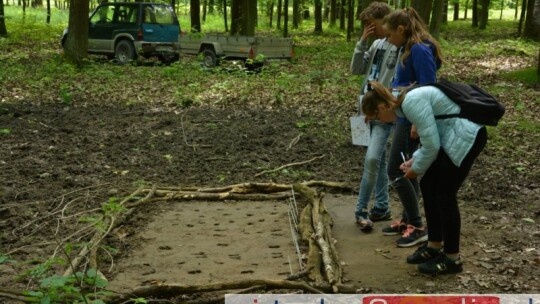 Wiedzą, co w lesie piszczy