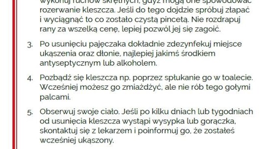 Poznaj kleszcze od podszewki