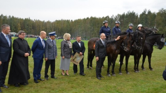 Jubileuszowa wystawa hodowców koni w Górkach [wideo]