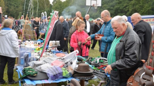 Jubileuszowa wystawa hodowców koni w Górkach [wideo]