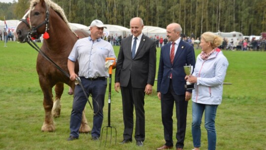 Jubileuszowa wystawa hodowców koni w Górkach [wideo]