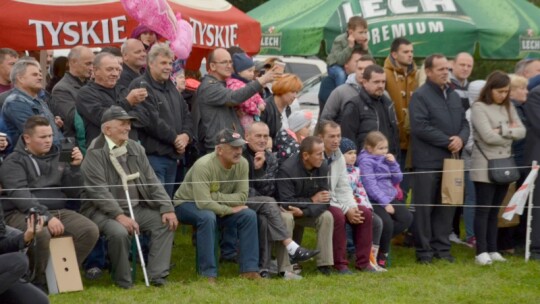 Jubileuszowa wystawa hodowców koni w Górkach [wideo]