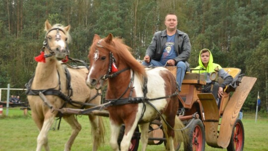 Jubileuszowa wystawa hodowców koni w Górkach [wideo]