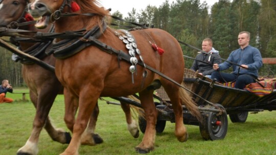 Jubileuszowa wystawa hodowców koni w Górkach [wideo]