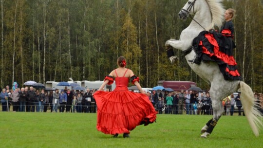 Jubileuszowa wystawa hodowców koni w Górkach [wideo]