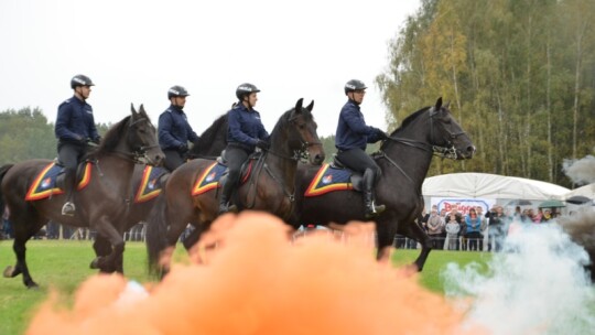 Jubileuszowa wystawa hodowców koni w Górkach [wideo]