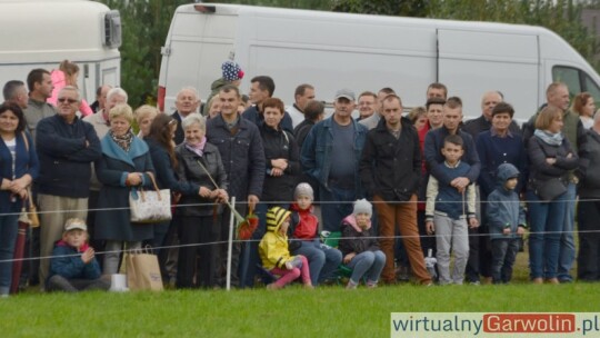 Jubileuszowa wystawa hodowców koni w Górkach [wideo]