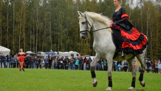 Jubileuszowa wystawa hodowców koni w Górkach [wideo]