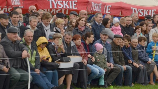 Jubileuszowa wystawa hodowców koni w Górkach [wideo]