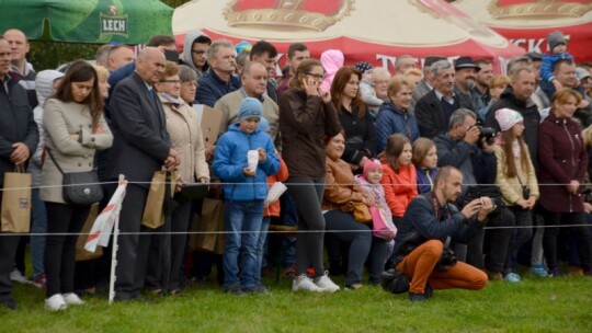 Jubileuszowa wystawa hodowców koni w Górkach [wideo]