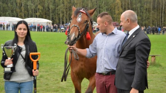 Jubileuszowa wystawa hodowców koni w Górkach [wideo]