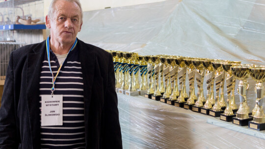 Wystawa Gołębi Rasowych i Ozdobnych po raz ósmy Wystawa Gołębi Rasowych i Ozdobnych po raz ósmy