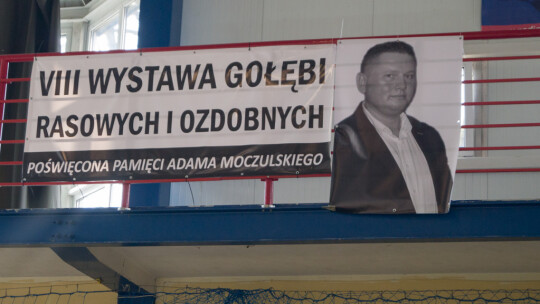 Wystawa Gołębi Rasowych i Ozdobnych po raz ósmy Wystawa Gołębi Rasowych i Ozdobnych po raz ósmy