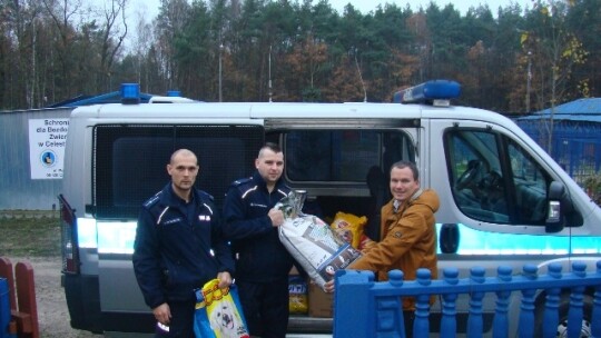 Policjanci pomogli bezdomnym zwierzętom