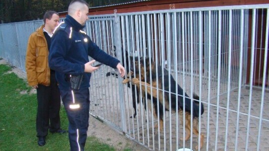 Policjanci pomogli bezdomnym zwierzętom