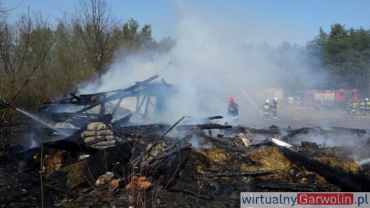 Pożar budynków gospodarczych w gm. Wilga