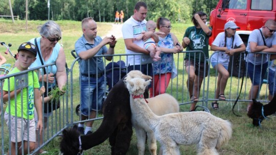 Miastków bawił się dla Darka