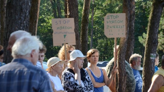 Cyganówka: Obrona zwierzyńca na razie skuteczna