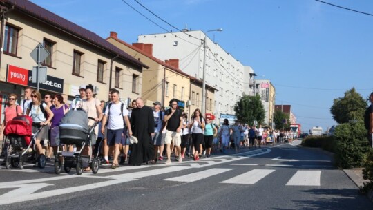 Pielgrzymi już na trasie! 38. PPP na Jasną Górę [wideo]