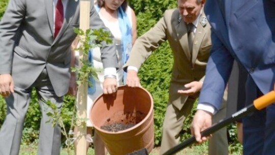 Garwolińska parafia ma 600 lat, a miasto patronkę [wideo]