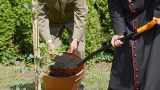 Garwolińska parafia ma 600 lat, a miasto patronkę [wideo]