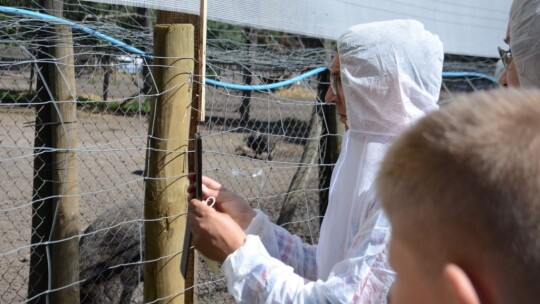 ?Bądź lekarzem, nie grabarzem!?. Zagroda w Cyganówce po kontroli weterynaryjnej