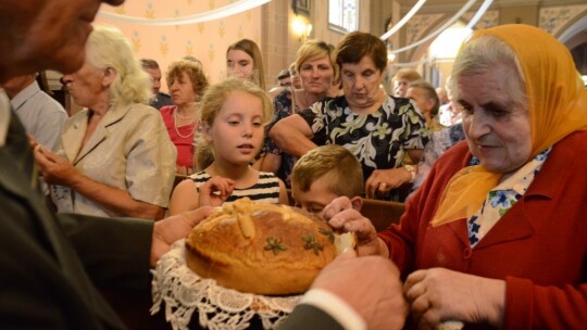 Barwne dożynki w Miastkowie Kościelnym [wideo]