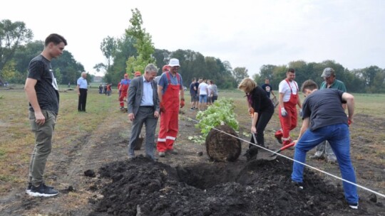 Powstaje nowy park w Garwolinie