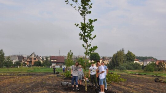 Powstaje nowy park w Garwolinie