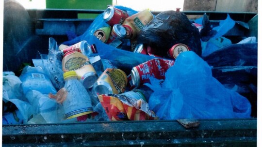 Na bakier z segregacją. Miasto zrobiło kontrolę Na bakier z segregacją. Miasto zrobiło kontrolę