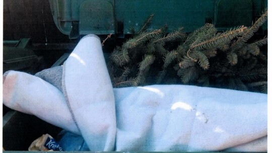 Na bakier z segregacją. Miasto zrobiło kontrolę Na bakier z segregacją. Miasto zrobiło kontrolę