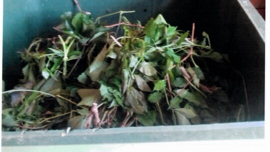 Na bakier z segregacją. Miasto zrobiło kontrolę Na bakier z segregacją. Miasto zrobiło kontrolę