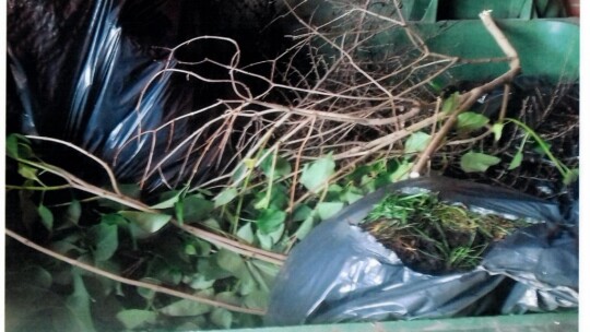 Na bakier z segregacją. Miasto zrobiło kontrolę Na bakier z segregacją. Miasto zrobiło kontrolę